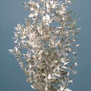 ラスカス　プラチナ