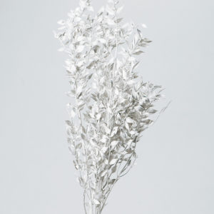 ラスカス　プラチナシルバー