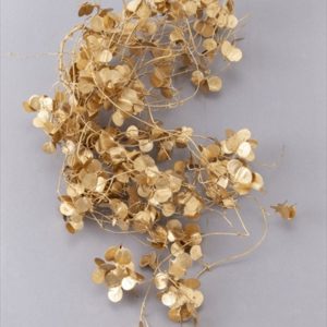 ミニ山イモ　ゴールド