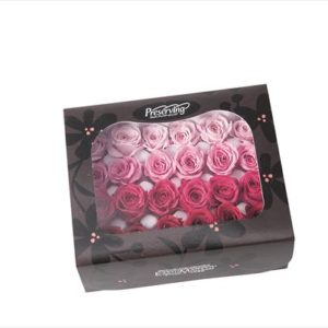 ビビアン・カラーアソート　ピンクミックス