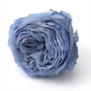 ローズ・てまり（ナチュレ）　ペールブルー