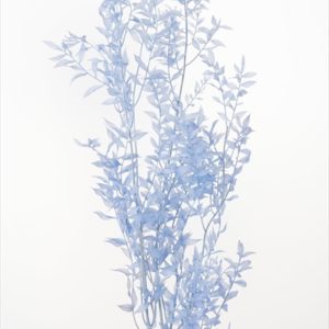 ラスカス・プリザーブド　ベビーブルー