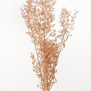 ラスカス・プリザーブド　ピンクベージュ