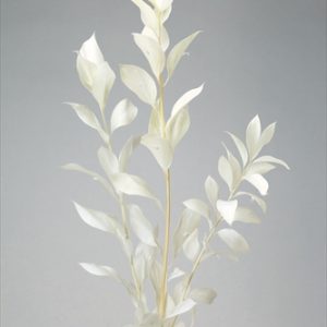 ルスカス・ガーデン　オフホワイト