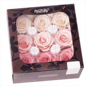 ローズ・かのん・Ｍ・カラーアソート　ホワイト／ピンクミックス