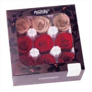 ローズ・かのん・Ｍ・カラーアソート　レッドミックス