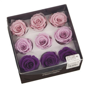 ローズ・かのん・Ｍ・カラーアソート　ピンク／パープルミックス