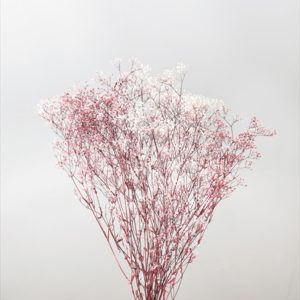 ミニカスミ草・フラワーベール　白／ローズ