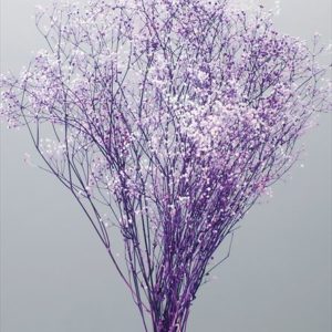 ミニカスミ草・フラワーベール　白／パープル