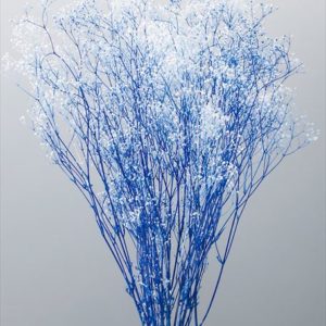 ミニカスミ草・フラワーベール　白／ブルー