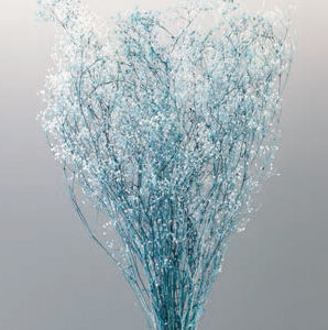 ミニカスミ草・フラワーベール　白／ターコイズ