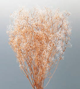 ミニカスミ草・フラワーベール　白／ブラウン