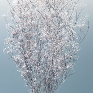 ミニカスミ草・フラワーベール　白／グレー