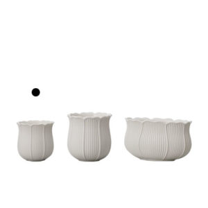 366-264-100　colette（コレット）