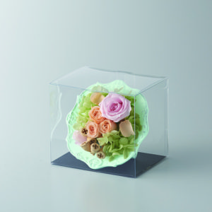 860-001-000　clear case　（クリアケース）