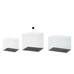 860-002-000　clear case　（クリアケース）