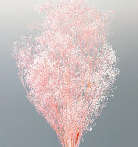 ミニカスミ草・フラワーベール　白／ピンク