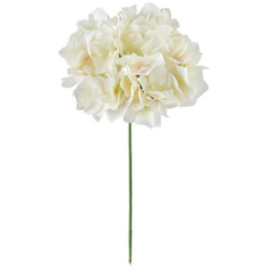 FM025048 037 アリスハイドレンジア ＃３７　ＩＶＯＲＹ