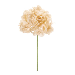 FM025048 013 アリスハイドレンジア ＃１３　ＢＥＩＧＥ