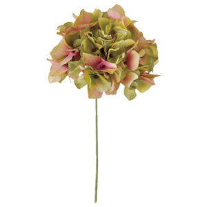 FM025048 024 アリスハイドレンジア ＃２４　ＧＲ／ＭＶ