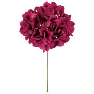 FM025048 053 アリスハイドレンジア ＃５３　ＢＥＡＵＴＹ