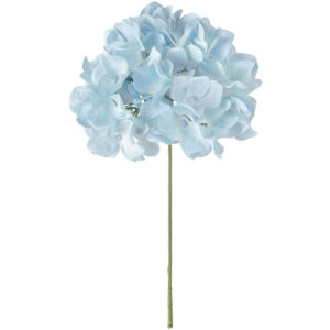 FM025048 105 アリスハイドレンジア ＃１０５　ＬＴＢＬ