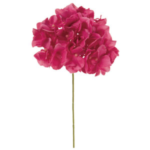 FM025048 216 アリスハイドレンジア ＃２１６　ＶＶ／ＢＴ