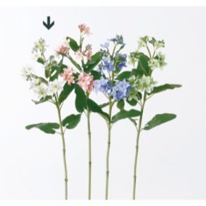 Ａ－３２１４５　ブルースターＸ２ #001 ﾎﾜｲﾄ