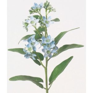 Ａ－３２１４５　ブルースターＸ２ #019S ｼｬｰﾍﾞｯﾄﾌﾞﾙｰ