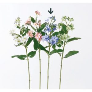 Ａ－３２１４５　ブルースターＸ２ #009 ﾌﾞﾙ-