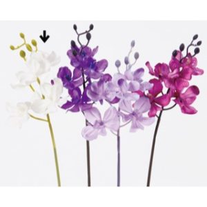 Ａ－３２８６６　オーキッドピック #001 ﾎﾜｲﾄ