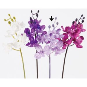 Ａ－３２８６６　オーキッドピック #016 ﾗｲﾄﾗﾍﾞﾝﾀﾞｰ