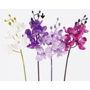 Ａ－３２８６６　オーキッドピック #009P ﾌﾞﾙ-ﾊﾟ-ﾌﾟﾙ