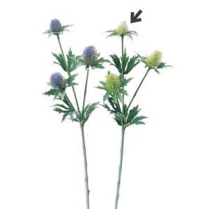 Ａ－３６０３６　エリンジウム（ア #052 ﾎﾜｲﾄｸﾞﾘ-ﾝ