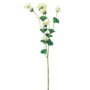 Ａ－３６１５１　ブプレリウム×８ #011 ｸﾘ-ﾑﾎﾜｲﾄ