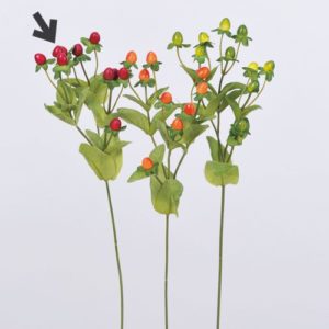 Ａ－４７５５７　ヒペリカム #002 ﾚｯﾄﾞ