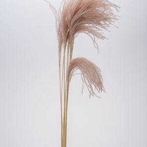 ミニススキ　ピンクベージュ