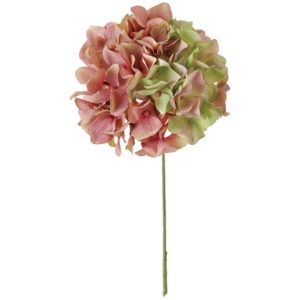 FM025048 048 アリスハイドレンジア ＃４８　ＭＶ／ＧＲ