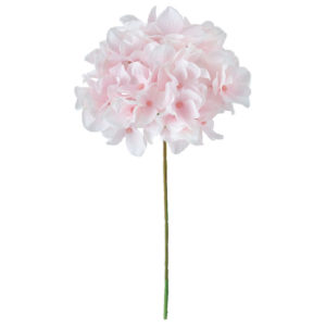 FM025048　102 アリスハイドレンジア ＃１０２　ＷＨ／ＰＫ