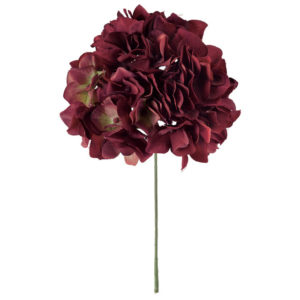 FM025048 014 アリスハイドレンジア ＃１４　ＷＩＮＥ