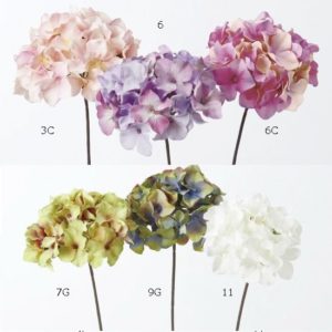 A-32561 003Ｃ　ハイドランジアピック