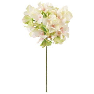 M025048 022 アリスハイドレンジア ＃２２　ＣＲＰＫＧＲ