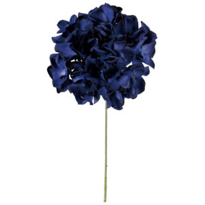 FM025048　033 アリスハイドレンジア ＃３３　ＤＫＢＬ