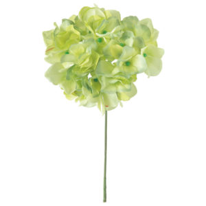 FM025048 023 アリスハイドレンジア ＃２３　ＬＴＧＲ