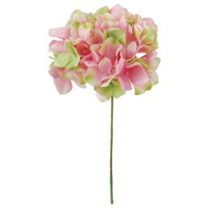 FM025048 152 アリスハイドレンジア ＃１５２　ＰＫ／ＧＲ