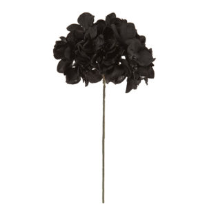 FM025048 020 アリスハイドレンジア ＃２０　ＢＬＡＣＫ