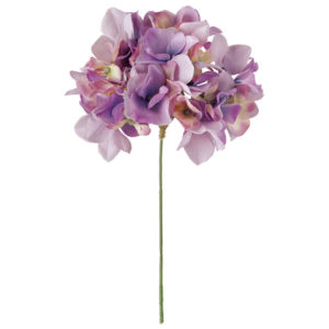 FM025048 011 アリスハイドレンジア ＃１１　ＬＡＶ