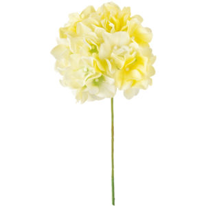 FM025048　004 アリスハイドレンジア ＃４　　ＹＥＬＬＯＷ