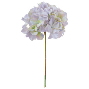 FM025048 115 アリスハイドレンジア ＃１１５　ＧＹ／ＢＬ