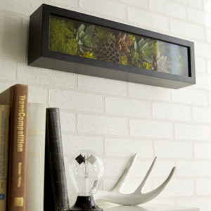 680-831-802 BOX frame Long （ボックス・フレーム・ロング）